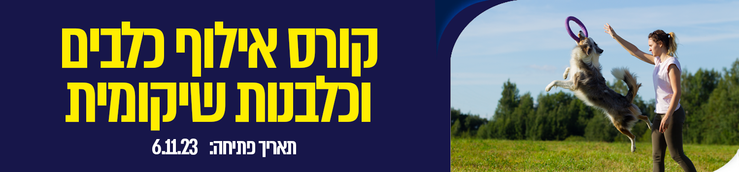 קורס אילוף כלבים וכלבנות שיקומית