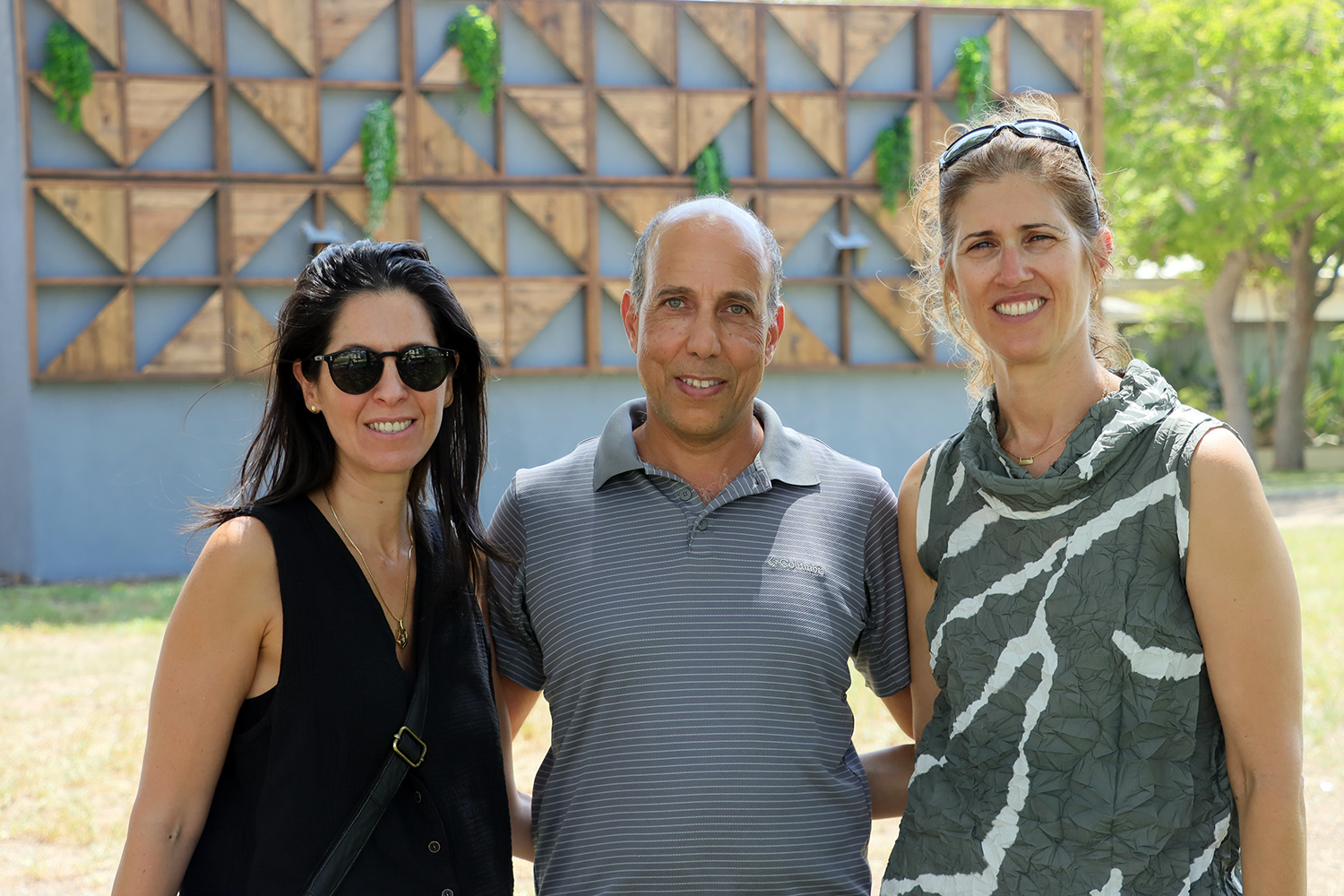 פרויקט מיגוניות חוסן