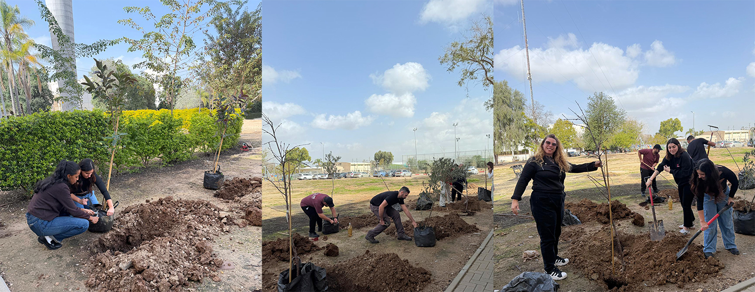 נטיעות מגמה ירוקה