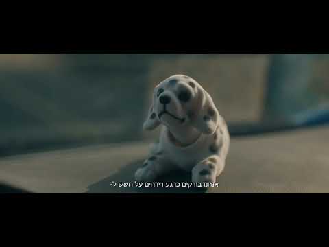 Preview image for the video "בובה - טל גולד | Buba - Tal Gold".