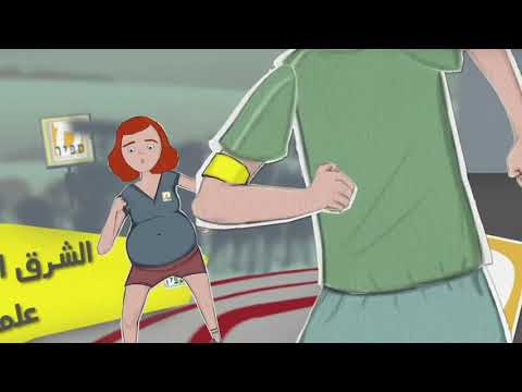 Preview image for the video "לימודים לתואר ראשון בלימודים רב-תחומיים בספיר (ערבית)".