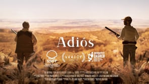 Preview image for the video "ADIÓS - Trailer".