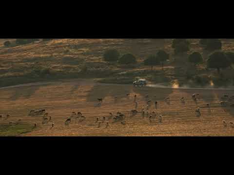 Preview image for the video "אמנה - גיא נמש | Amna - Guy Nemesh".