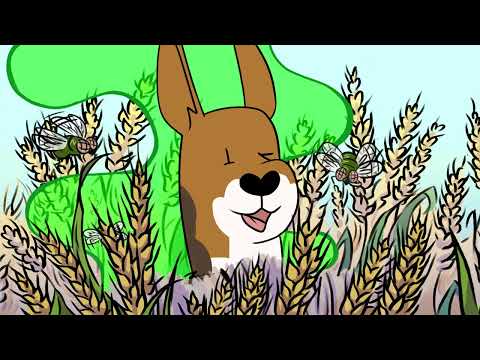 Preview image for the video "טיול הבוקר של מיילו - זיוה יעקובוביץ' | Milo's Morning Walk - Ziva Jacobovici".