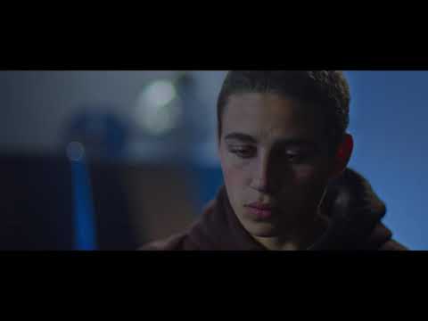 Preview image for the video "הפרעת התמוטטות המושבה - עמוס הולצמן | Colony Collapse Disorder - Amos Holzman".