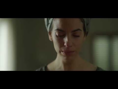 Preview image for the video "Cabbage trailer".