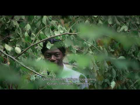 Preview image for the video "like an island trailer".