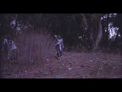 Preview image for the video "Dead Horse | Noa Globerman".