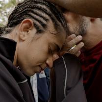 הקרבות של נילי