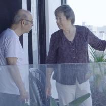 שישה מבטים מדרום