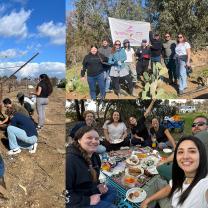 הילל ספיר עבודה בחקלאות