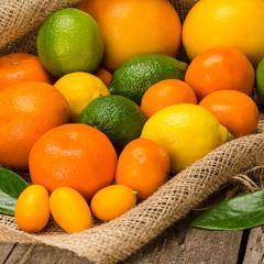 אילוסטרציה: פרות הדר