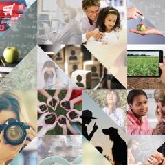 קולאג' של תמונות מקורסים שונים