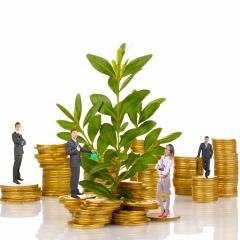 אילוסטרציה: אנשים עומדים על מטבעות לצד צמח