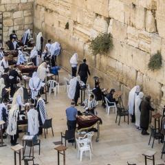 מתפללים בכותל המערבי