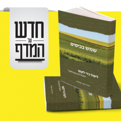 חדש על המדף, שמש בכיסים