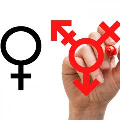 שוויון מגדרי