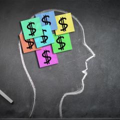 ניהול כלכלי