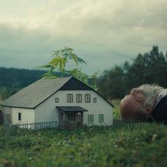 להיטרף בטבע