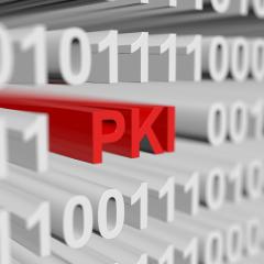 PKI