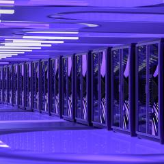 סיור בזוטא קור