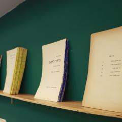 תערוכה מרחבי הספר