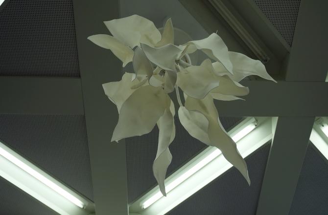 פסל לבן גמוי צמח תלוי באוויר