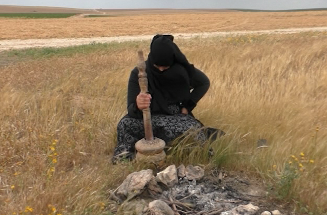 רום אלקאדי, זאת אני