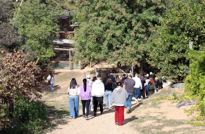 סיור בחוות בולוטין