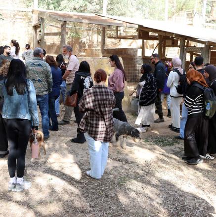 סיור בחוות בולוטין