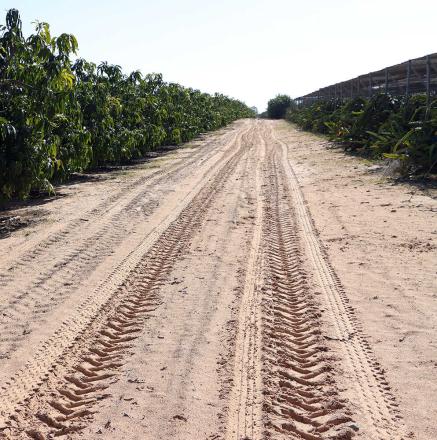 סיור חקלאי 4.1.26