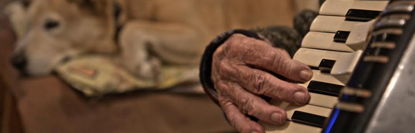 יד של גבר מנגנת על אקורדיאון כשכלב שוכב מאחור - לחצו לפתיחת הסרטון בחלונית