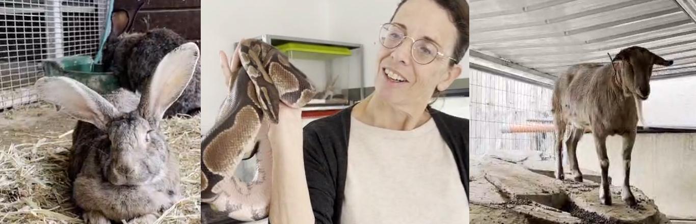 טבע האדם - לחצו לפתיחת הסרטון בחלונית