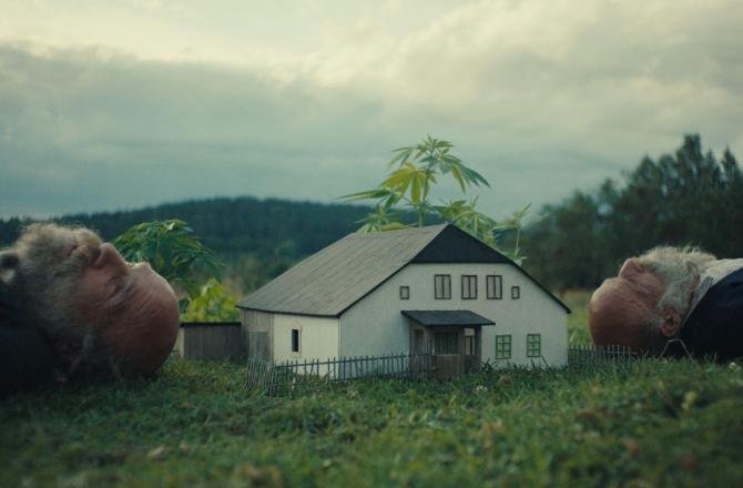 להיטרף בטבע