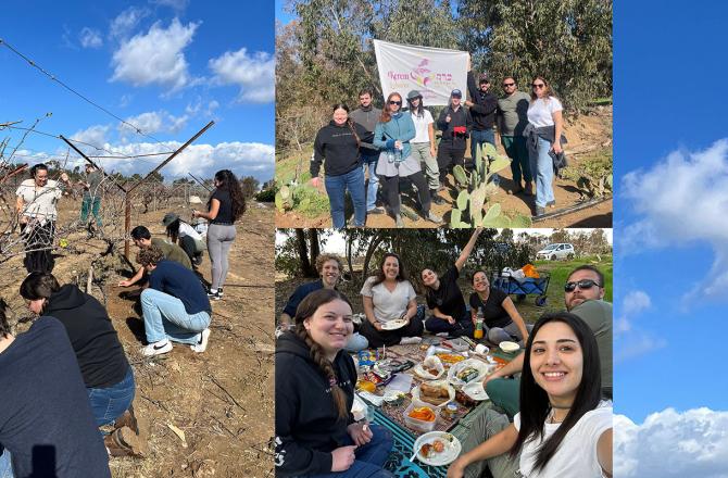 הילל ספיר עבודה בחקלאות