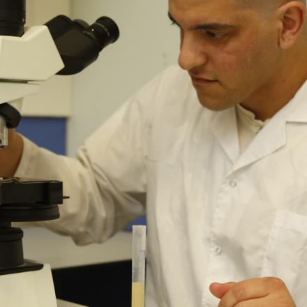 סטודנט מסתכל במיקרוסקופ