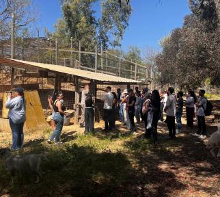 סיור בחוות בולוטין