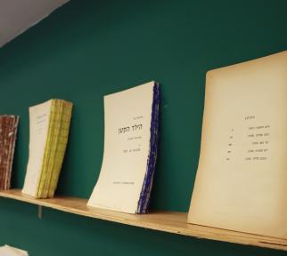 תערוכה מרחבי הספר