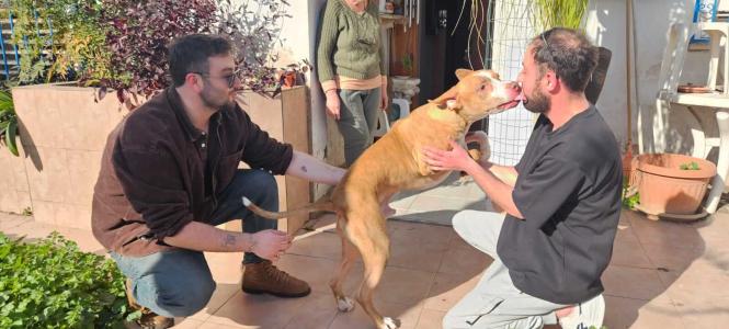חברים לעת זקנה