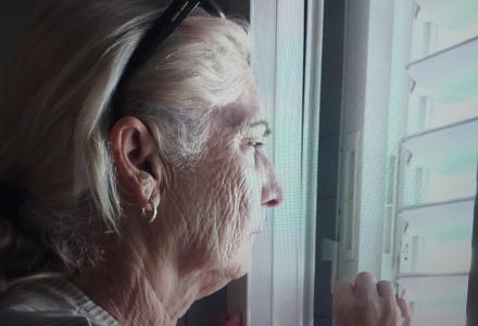 אופקים מבעד לתריסים