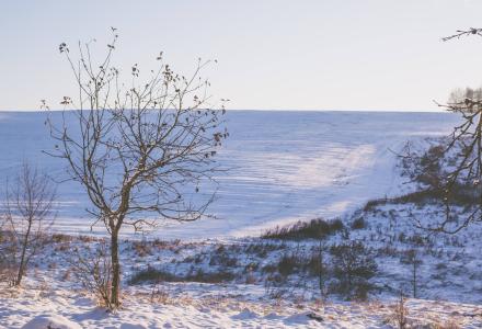 מחברות דרום- מעיין שורץ