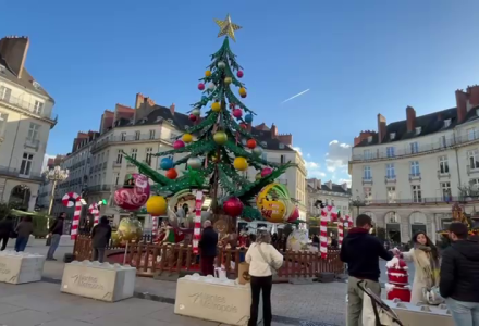 עץ אשוח בחג המולד