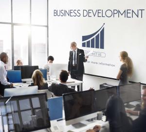 הדמייה: פיתוח עסקי