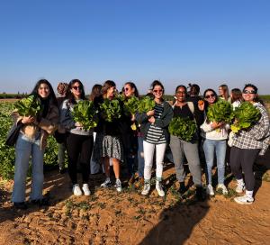 קורס אתגרים
