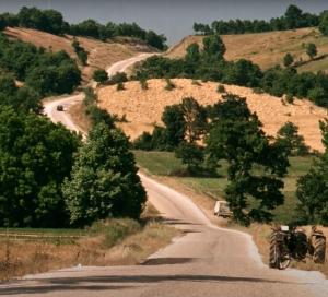 שביל בין שדות