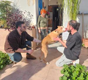 חברים לעת זקנה