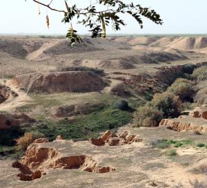 סיור בחוות בולוטין