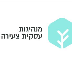 מנהיגות עסקית צעירה